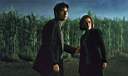 mulder_and_scully_in_a_cornfield.jpg